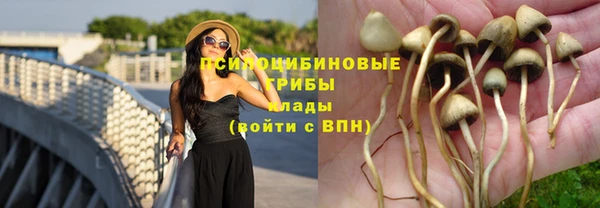 гидра Магадан